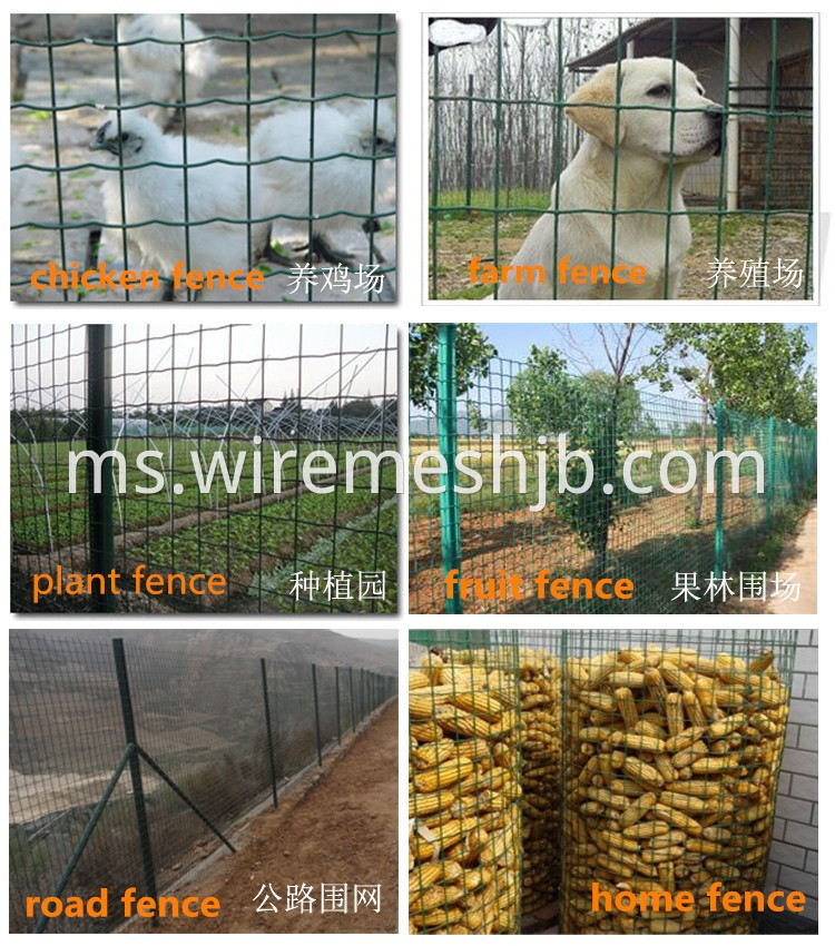 Holland Welded Wire Mesh Application 